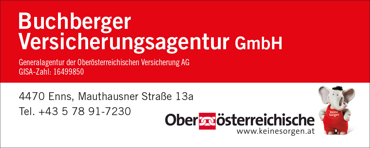 Agentur Buchberger 100x40 4c